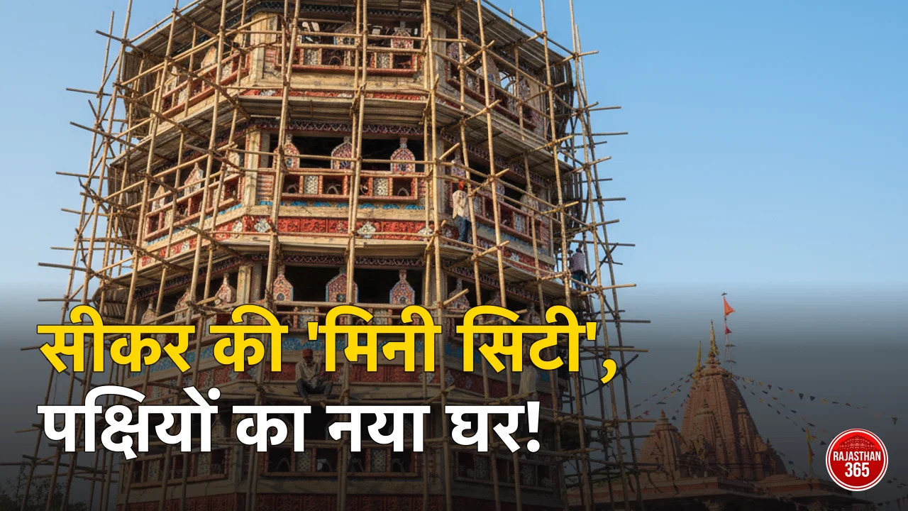 सीकर की अनोखी पहल: 3000 पक्षियों के लिए तैयार हुई 'मिनी सिटी', चिलचिलाती गर्मी से मिलेगी राहत