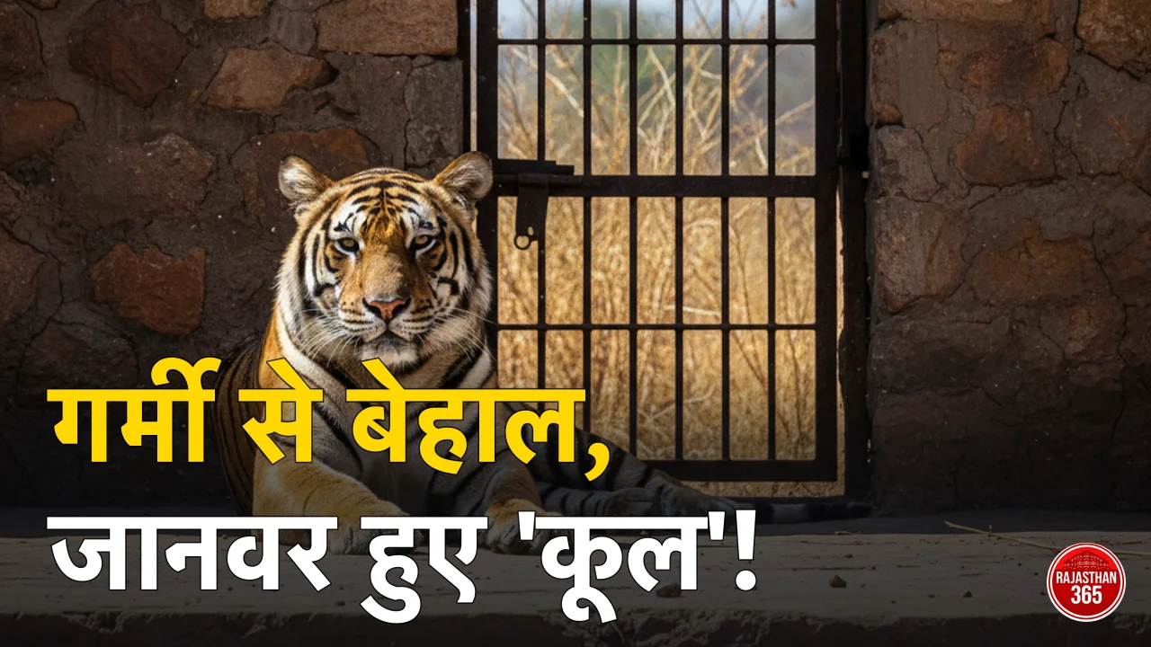 जोधपुर: भीषण गर्मी में 'कूल' हुए वन्यजीव, माचिया सफारी पार्क ने बदली जानवरों की लाइफस्टाइल